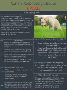 Canine Respiratory Disease Update