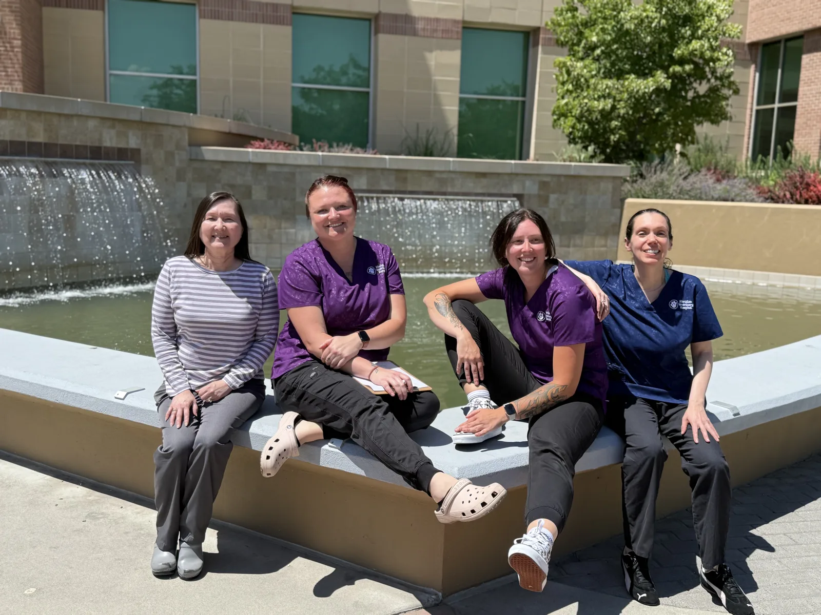 Fountain near the Meridian Veterinary Hospital office